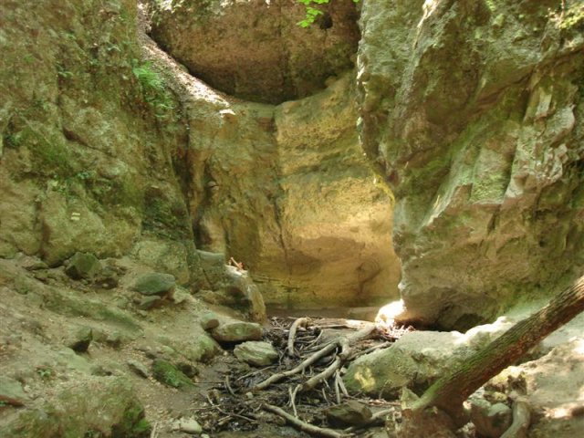 DSC05842 (Medium)